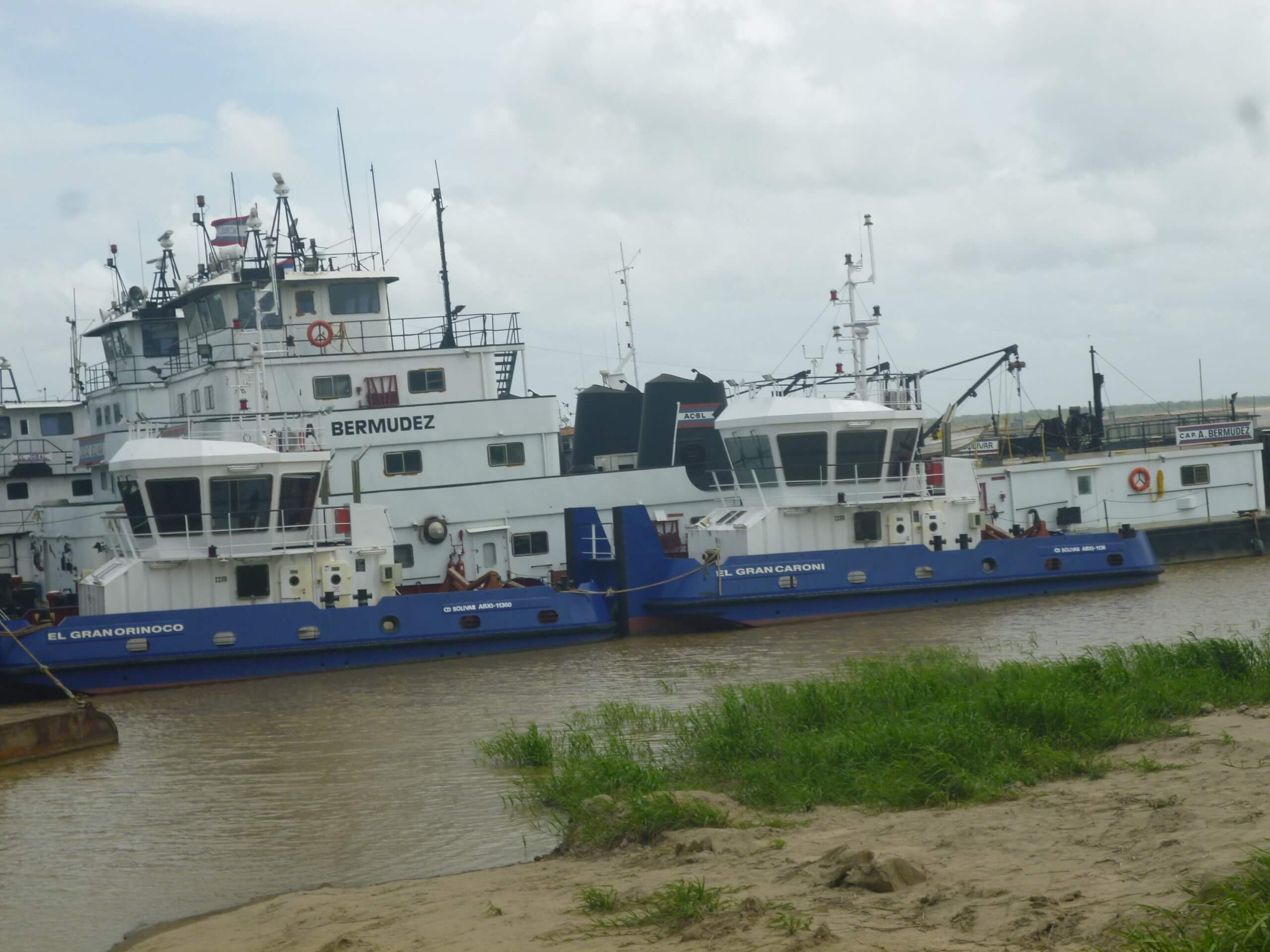 Gran orinoco y gran caroni meyers gorup